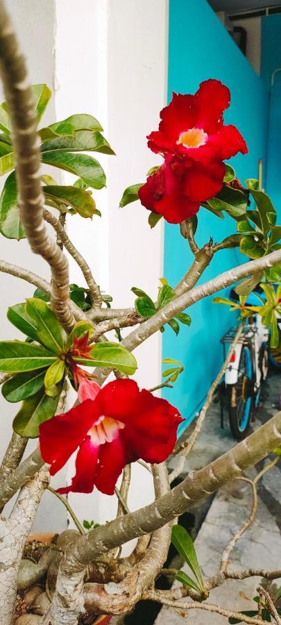 Hanaa Homestay Meru Ипох Екстериор снимка